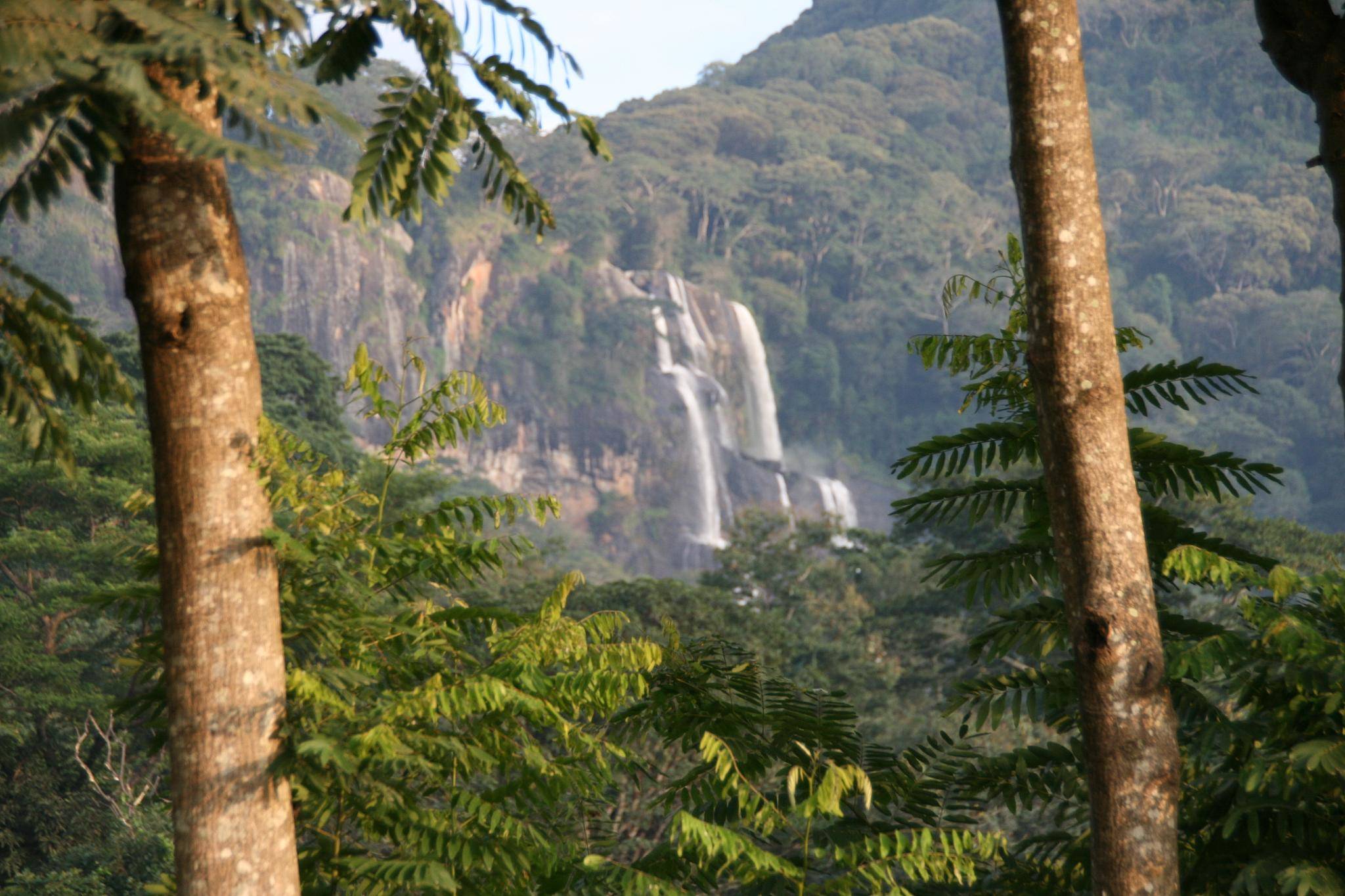 Udzungwa-Mountains-National-Park