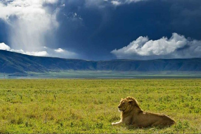 ngorongoro